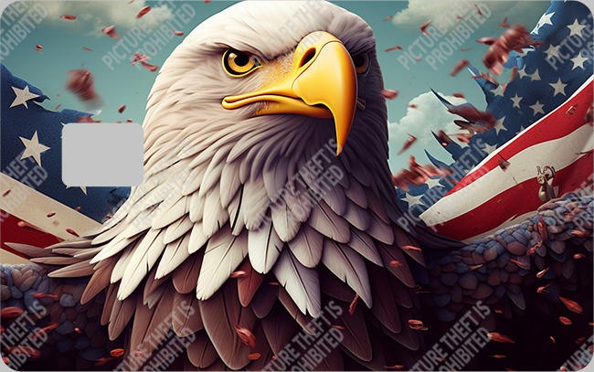 Bank  Card Sticker-BC-209